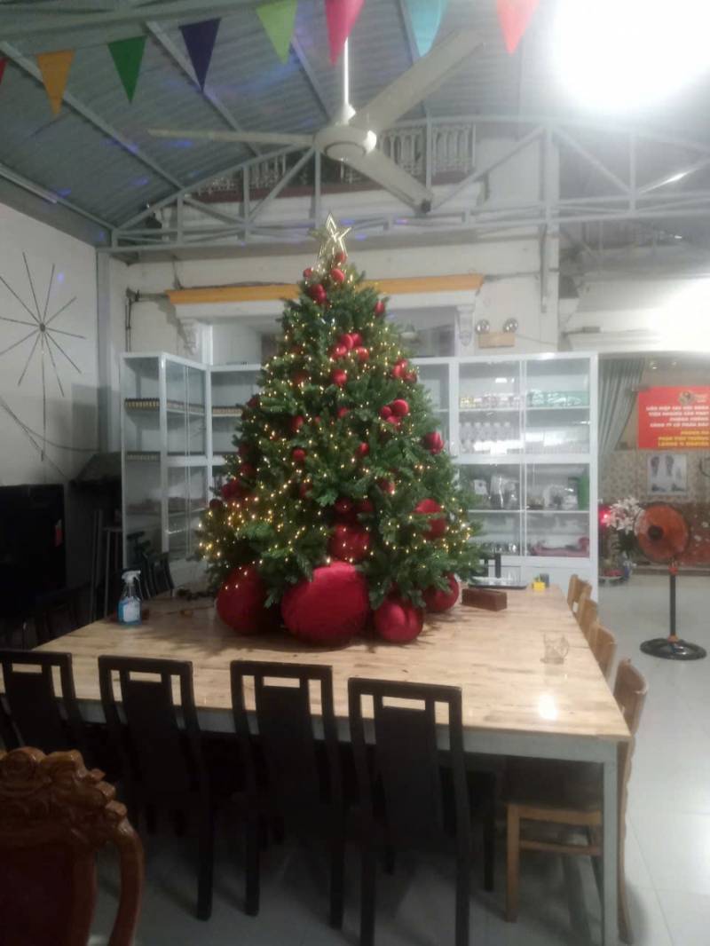 Báo Giá Trang Trí Cây Thông Noel Tại Quận Tân Phú. Ảnh 1